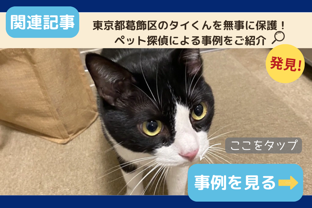 東京都葛飾区のタイくんを無事に保護!ペット探偵による事例をご紹介