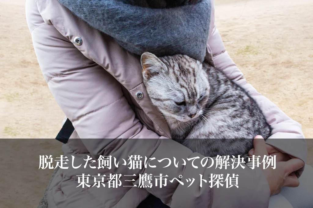 脱走した飼い猫についての解決事例｜東京都三鷹市ペット探偵