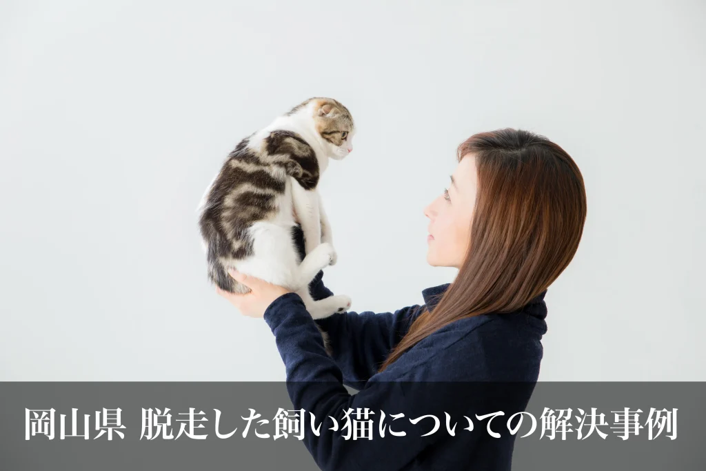 脱走した飼い猫についての解決事例｜岡山県ペット探偵