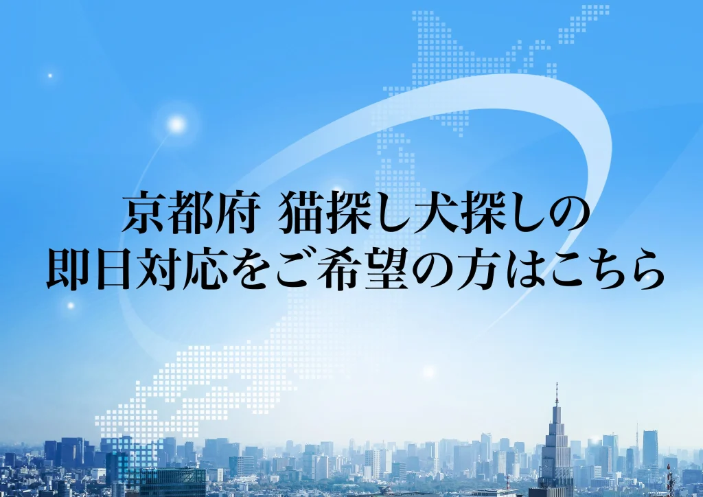京都府 猫探し犬探しの即日対応をご希望の方はこちら