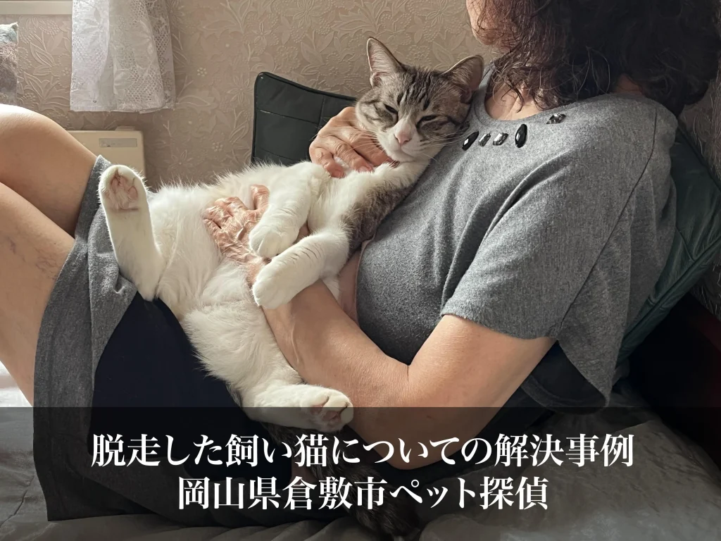 脱走した飼い猫についての解決事例｜岡山県倉敷市ペット探偵