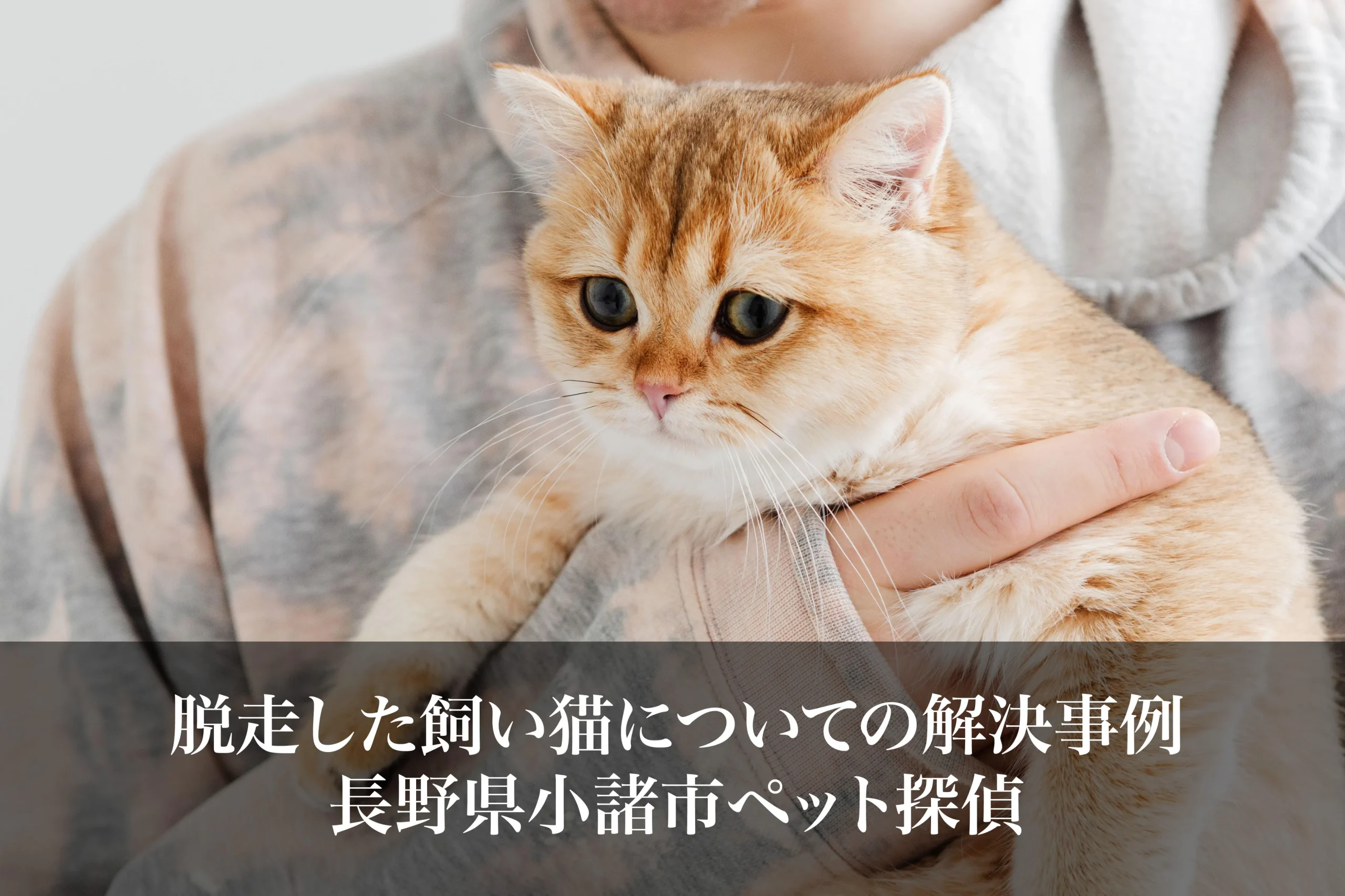 ポアロのテナント料と浮気調査やペットの猫探しなどで辛うじて食いつないでいたようです 作者がファンブックの質問コーナーで回答