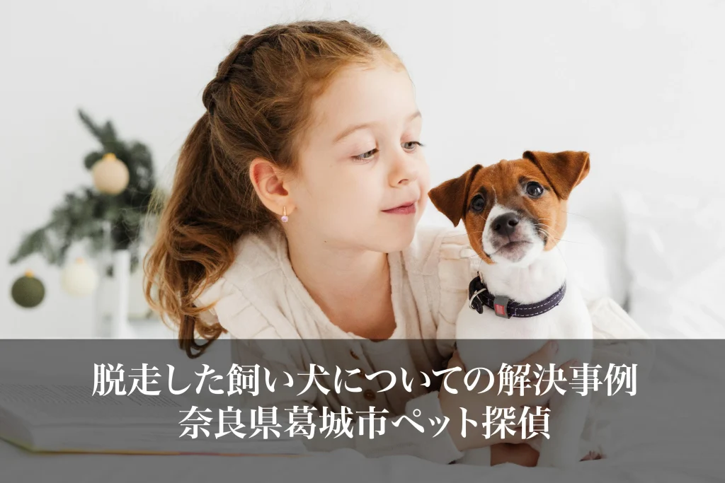 脱走した飼い犬についての解決事例｜奈良県葛城市ペット探偵