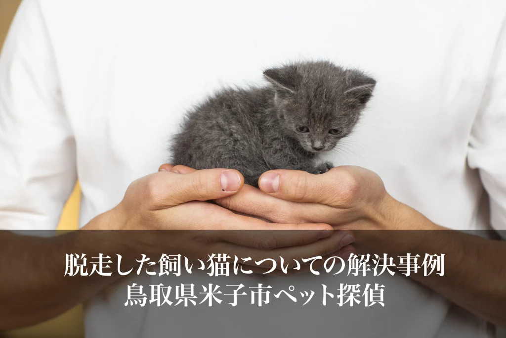 脱走した飼い猫についての解決事例｜鳥取県米子市ペット探偵