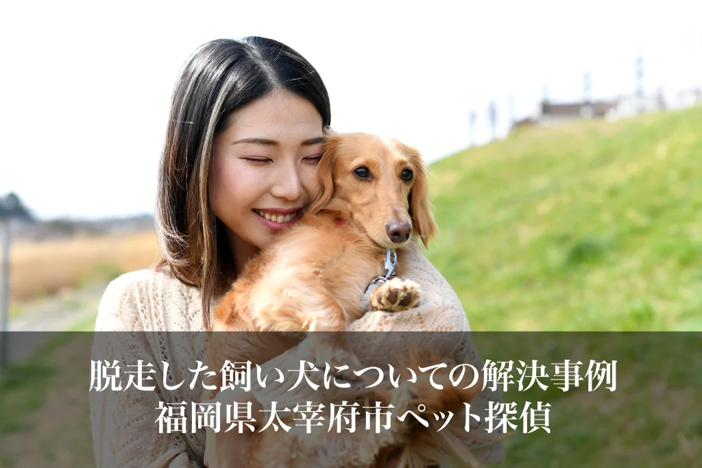 脱走した飼い犬についての解決事例｜福岡県太宰府市ペット探偵